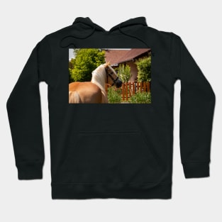 Blonde beauty Haflinger Hoodie